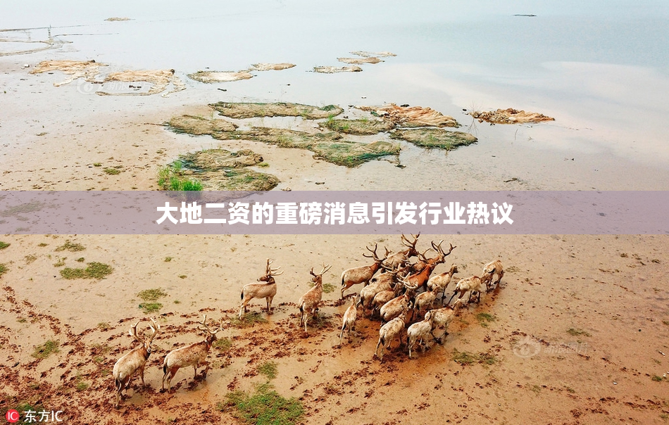 大地二资的重磅消息引发行业热议