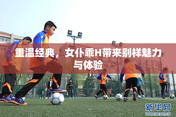 重温经典，女仆乖H带来别样魅力与体验