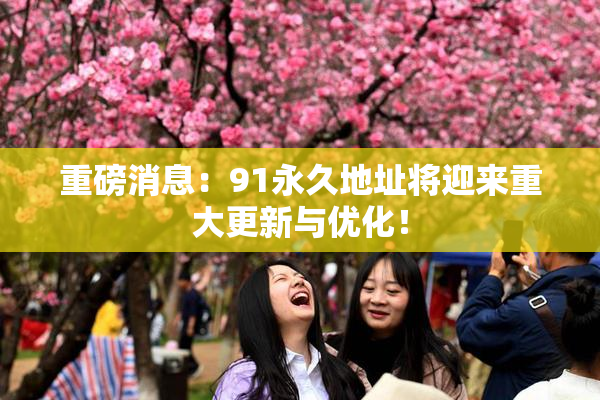 重磅消息：91永久地址将迎来重大更新与优化！