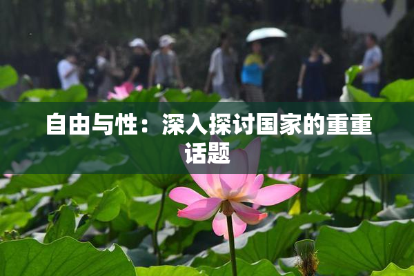 自由与性：深入探讨国家的重重话题