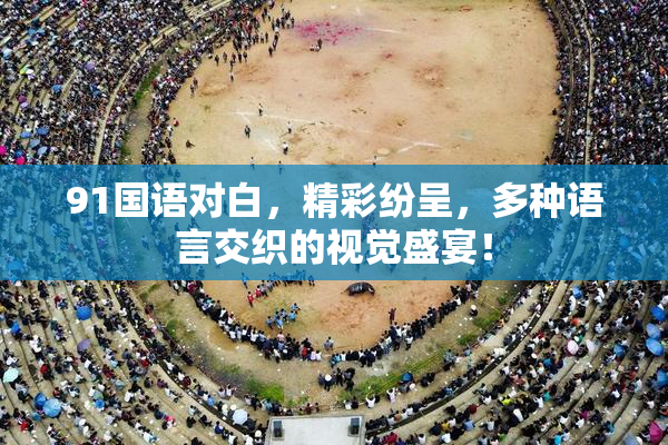 91国语对白，精彩纷呈，多种语言交织的视觉盛宴！