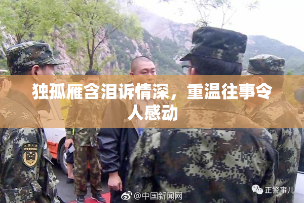 独孤雁含泪诉情深，重温往事令人感动