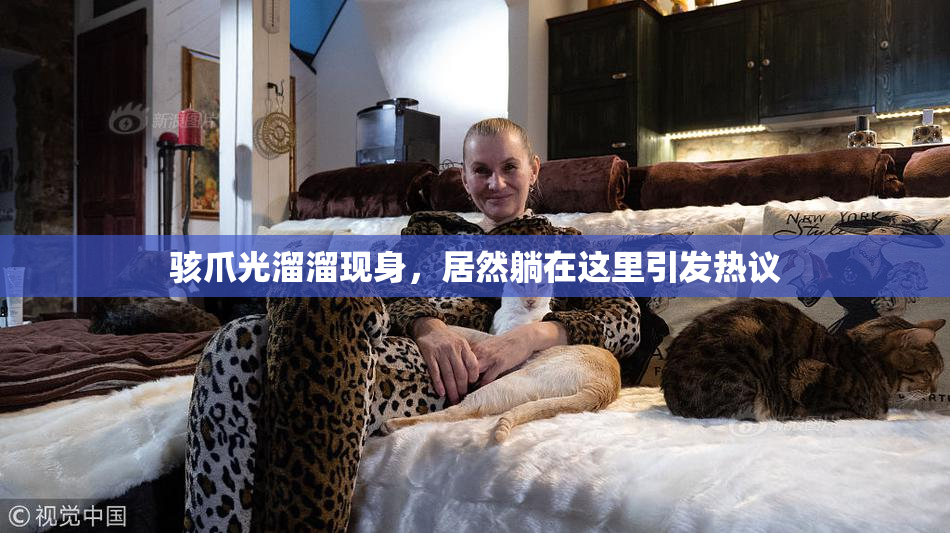 骇爪光溜溜现身，居然躺在这里引发热议
