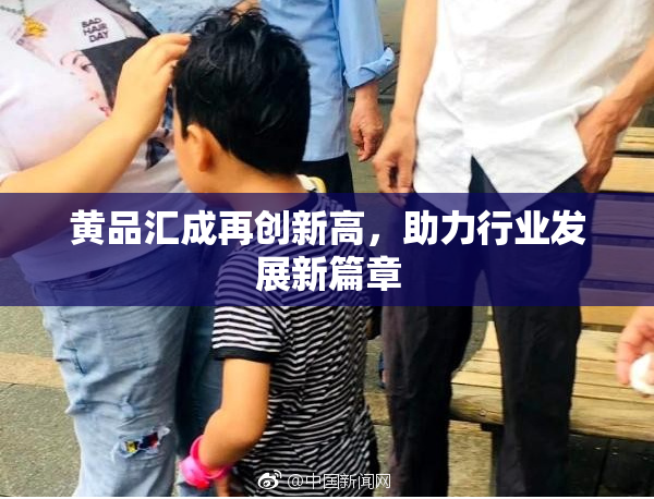 黄品汇成再创新高，助力行业发展新篇章