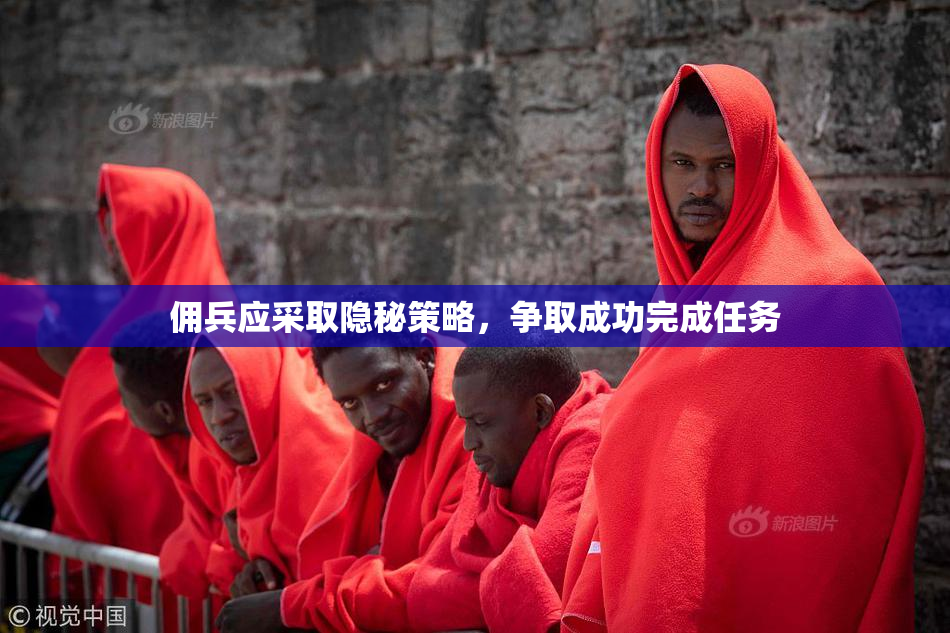 佣兵应采取隐秘策略，争取成功完成任务