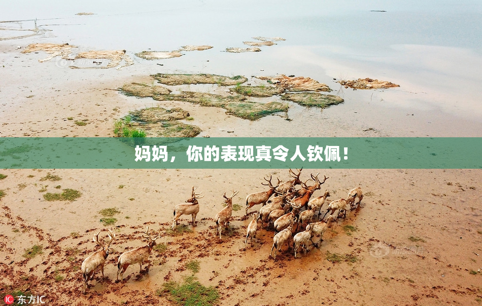 妈妈，你的表现真令人钦佩！