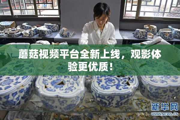 蘑菇视频平台全新上线，观影体验更优质！