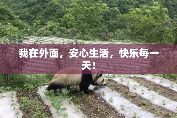 我在外面，安心生活，快乐每一天！