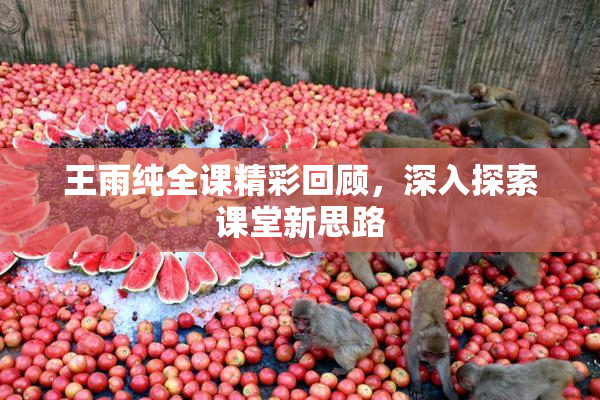 王雨纯全课精彩回顾，深入探索课堂新思路