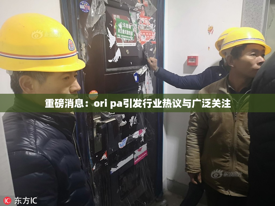 重磅消息：ori pa引发行业热议与广泛关注