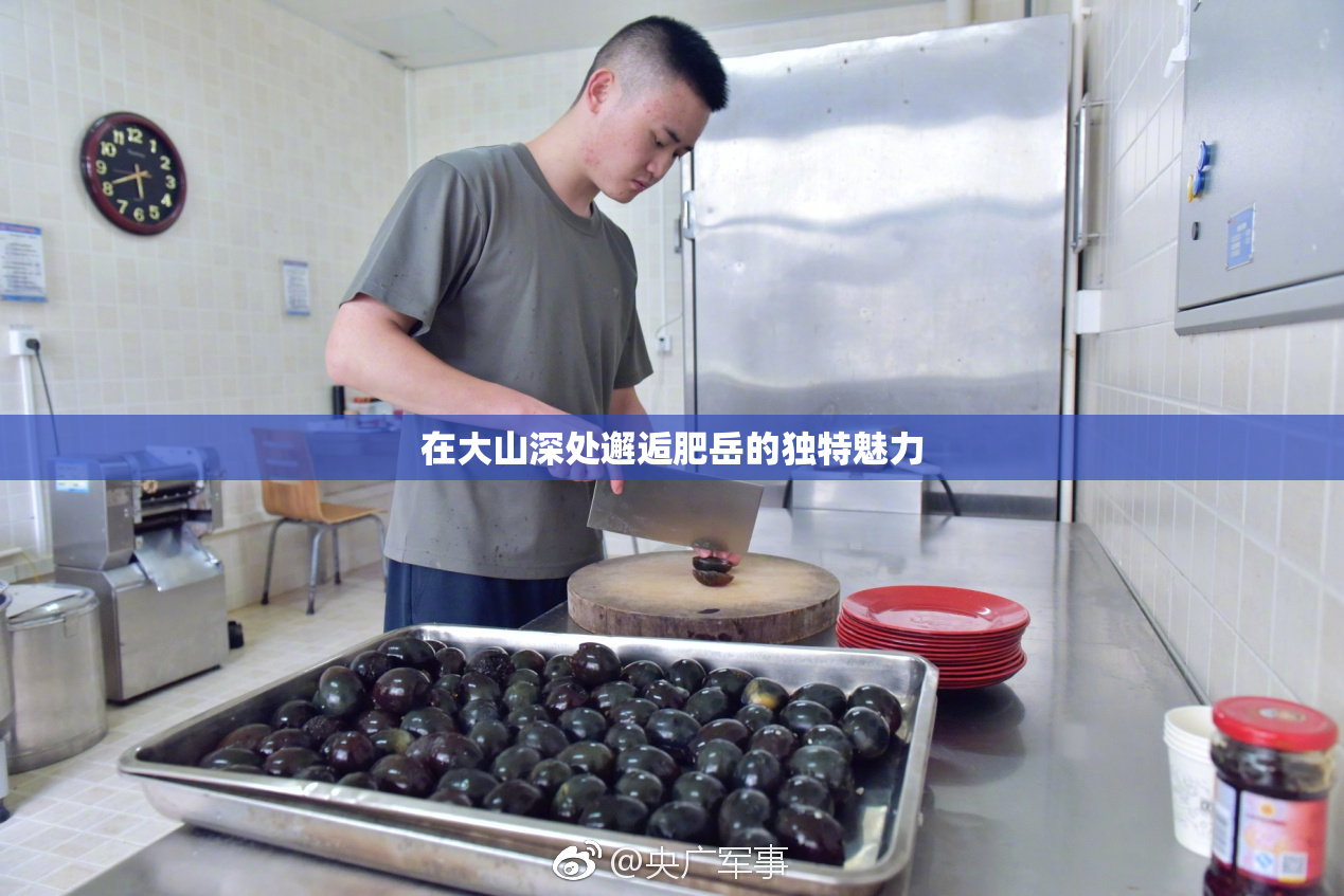 在大山深处邂逅肥岳的独特魅力