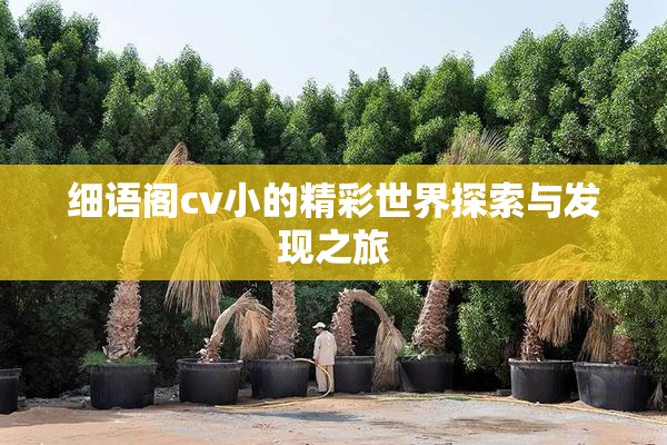 细语阁cv小的精彩世界探索与发现之旅