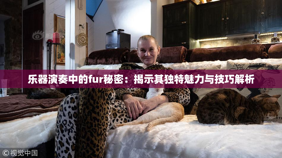 乐器演奏中的fur秘密：揭示其独特魅力与技巧解析