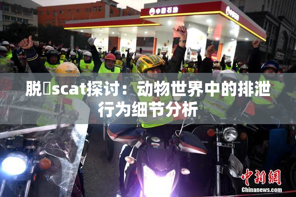 脱糞scat探讨：动物世界中的排泄行为细节分析