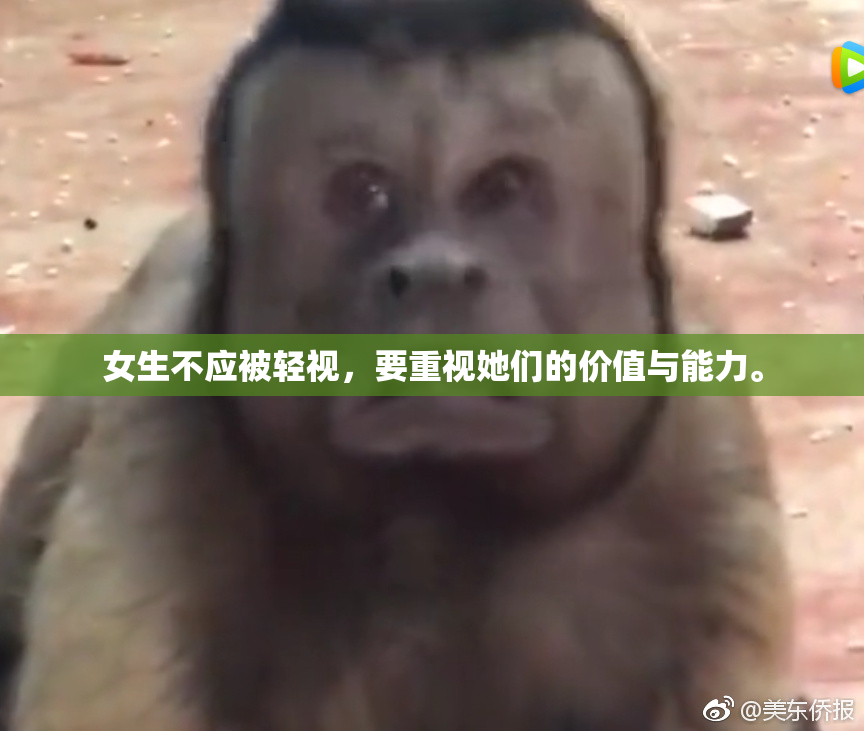 女生不应被轻视，要重视她们的价值与能力。