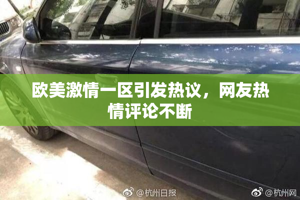 欧美激情一区引发热议，网友热情评论不断