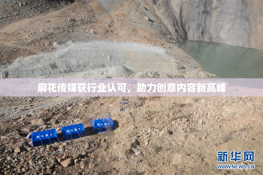 麻花传媒获行业认可，助力创意内容新高峰