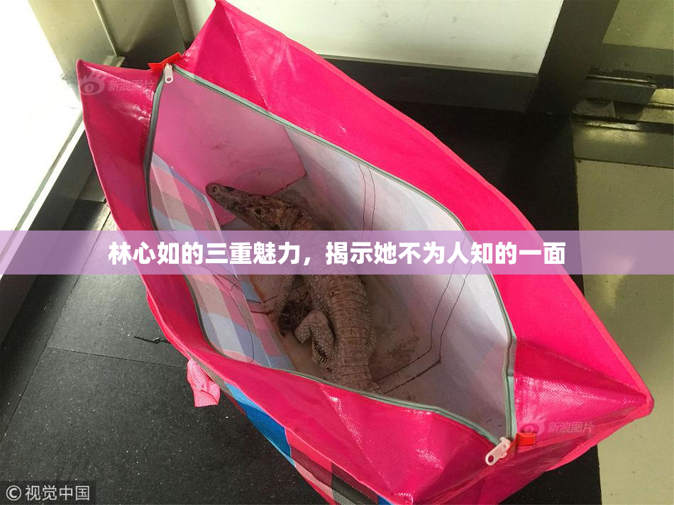 林心如的三重魅力，揭示她不为人知的一面