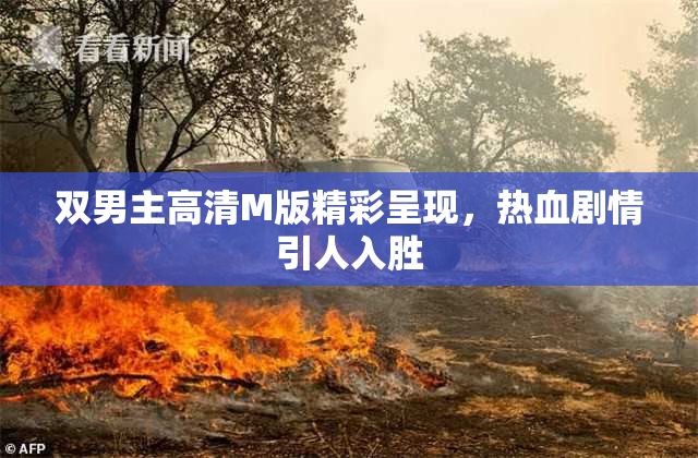 双男主高清M版精彩呈现，热血剧情引人入胜