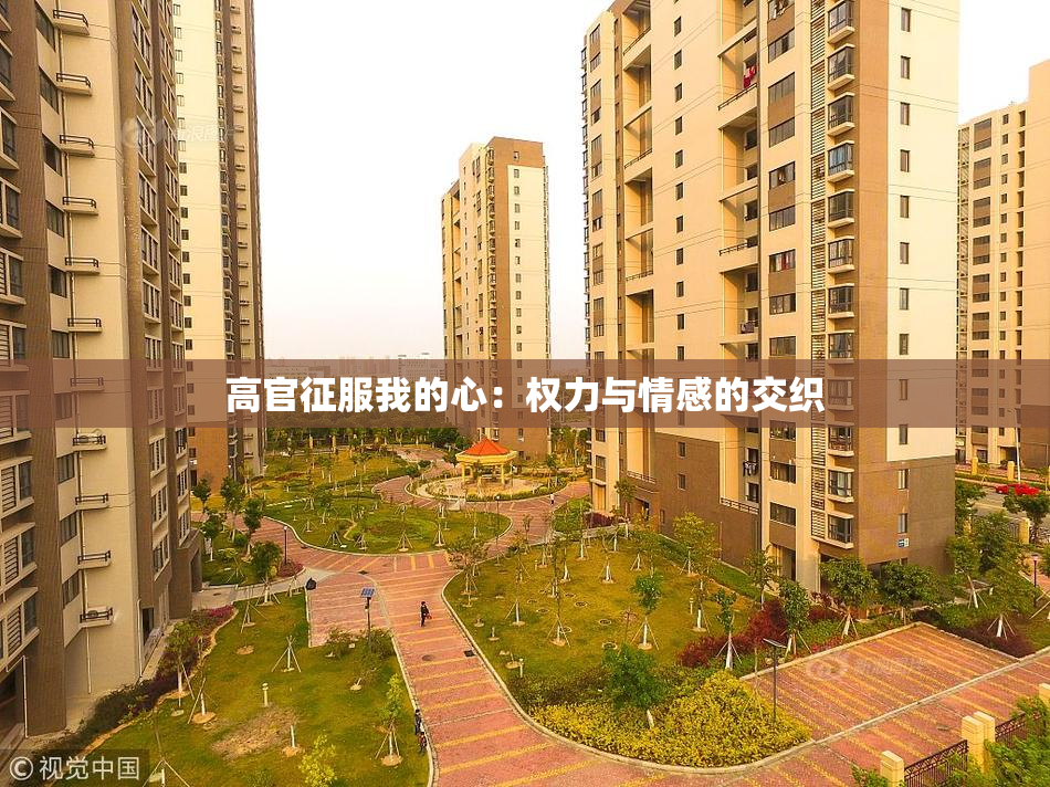 高官征服我的心：权力与情感的交织