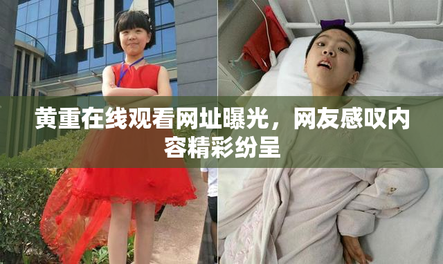 黄重在线观看网址曝光，网友感叹内容精彩纷呈