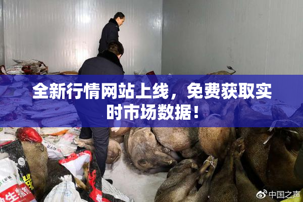 全新行情网站上线，免费获取实时市场数据！