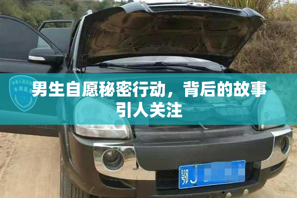男生自愿秘密行动，背后的故事引人关注