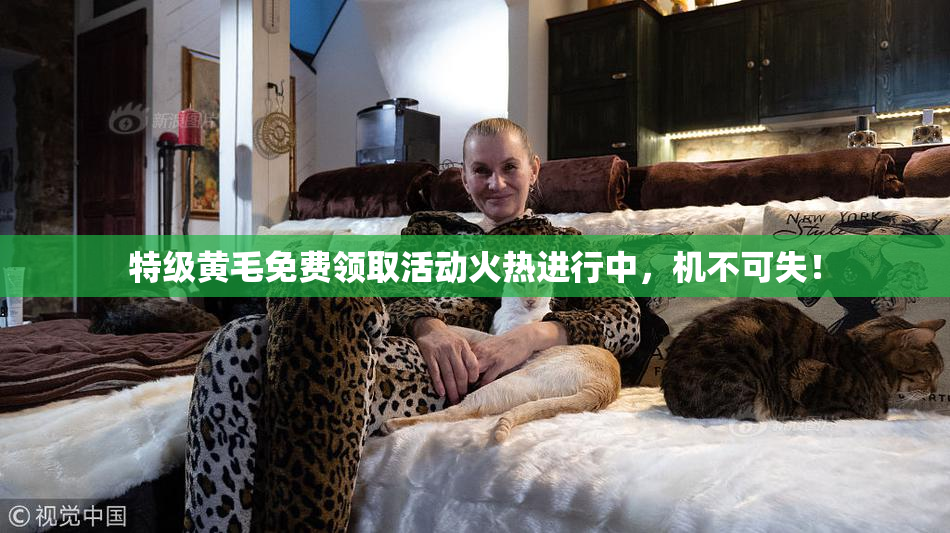 特级黄毛免费领取活动火热进行中，机不可失！