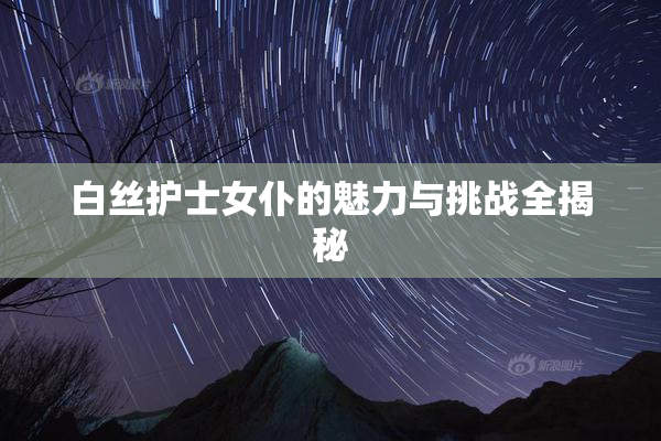 白丝护士女仆的魅力与挑战全揭秘