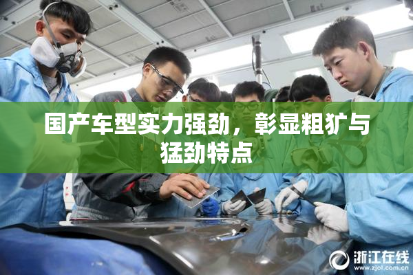 国产车型实力强劲，彰显粗犷与猛劲特点