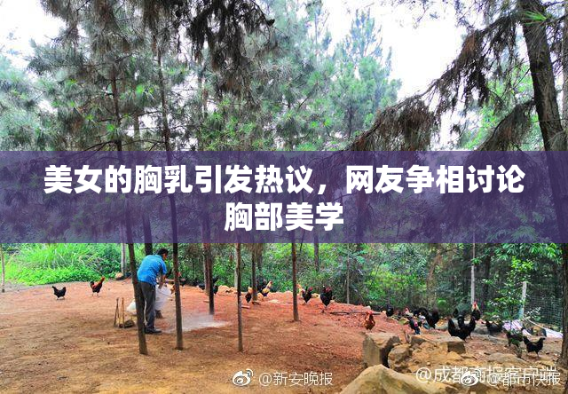 美女的胸乳引发热议，网友争相讨论胸部美学