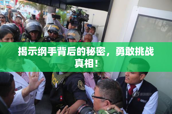 揭示纲手背后的秘密，勇敢挑战真相！