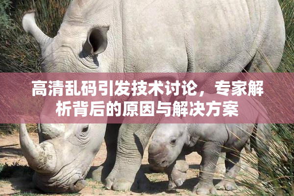 高清乱码引发技术讨论，专家解析背后的原因与解决方案