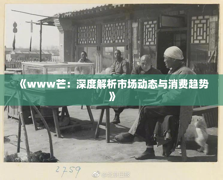 《www芒：深度解析市场动态与消费趋势》