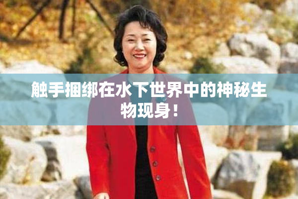 触手捆绑在水下世界中的神秘生物现身！