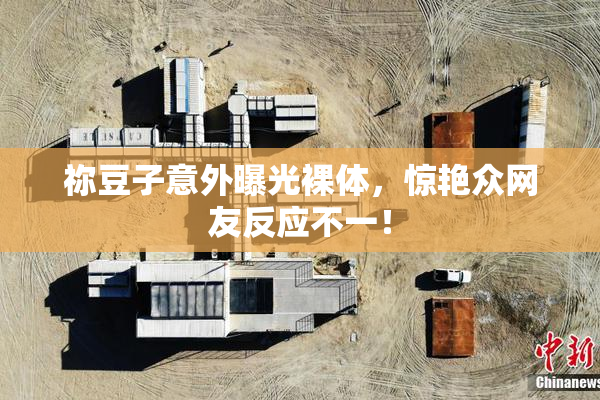 祢豆子意外曝光裸体，惊艳众网友反应不一！