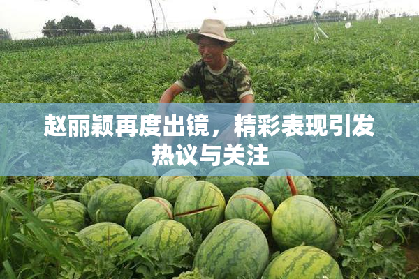 赵丽颖再度出镜，精彩表现引发热议与关注