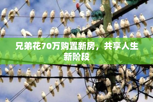 兄弟花70万购置新房，共享人生新阶段