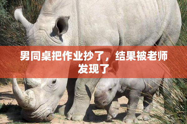 男同桌把作业抄了，结果被老师发现了