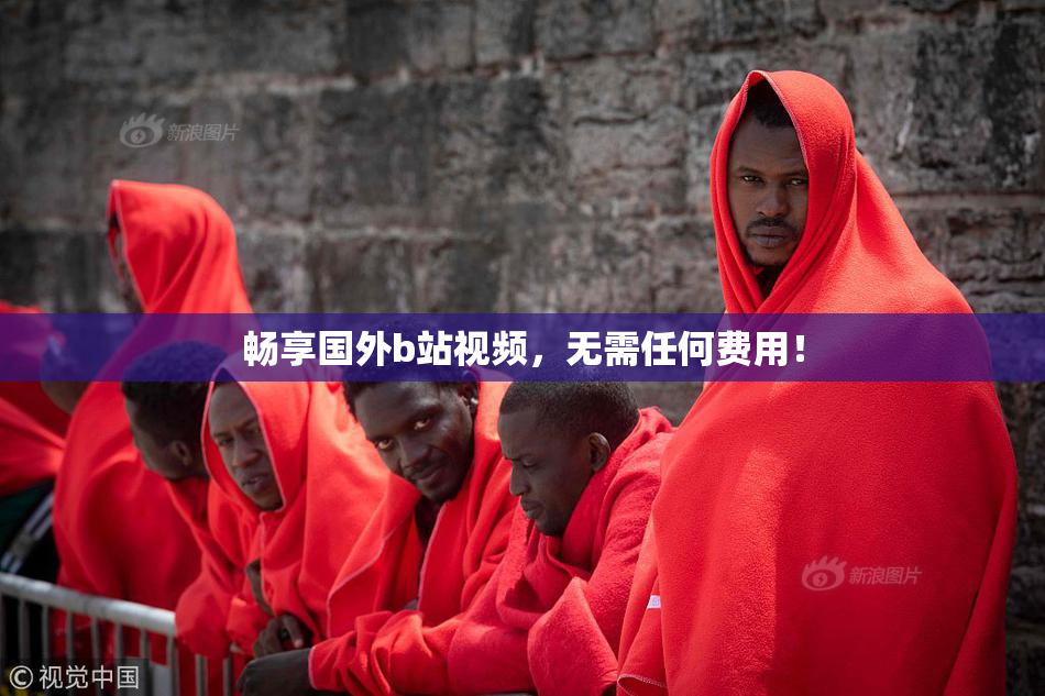 畅享国外b站视频，无需任何费用！