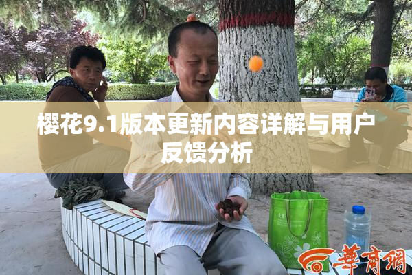 樱花9.1版本更新内容详解与用户反馈分析