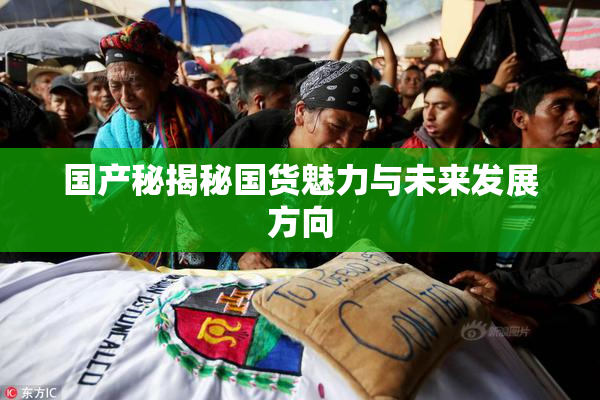 国产秘揭秘国货魅力与未来发展方向