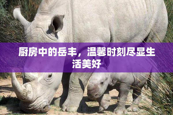 厨房中的岳丰，温馨时刻尽显生活美好