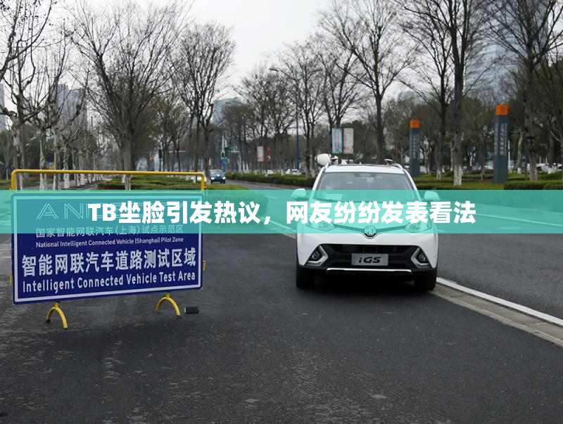 TB坐脸引发热议，网友纷纷发表看法