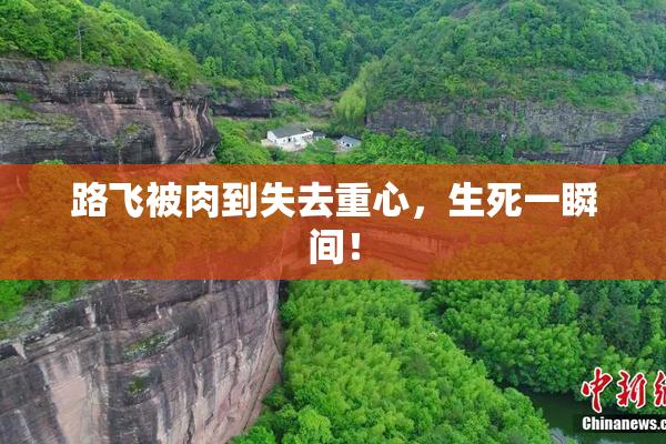路飞被肉到失去重心，生死一瞬间！