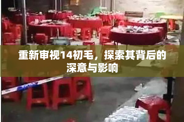重新审视14初毛，探索其背后的深意与影响