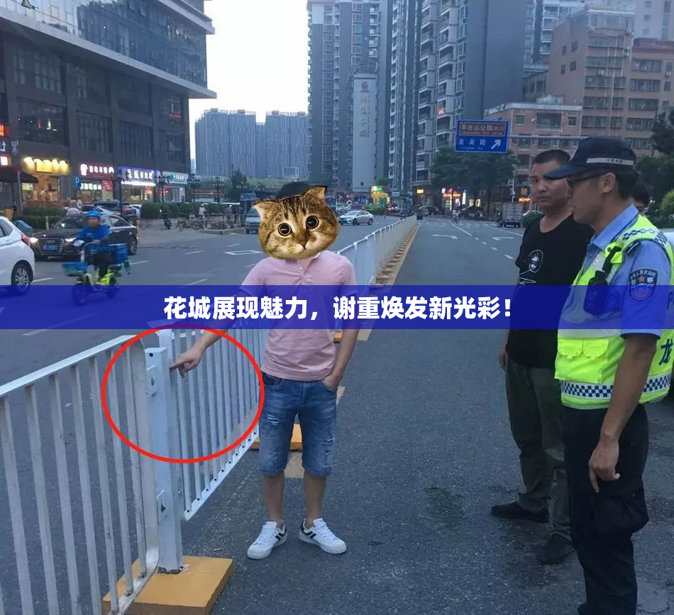 花城展现魅力，谢重焕发新光彩！