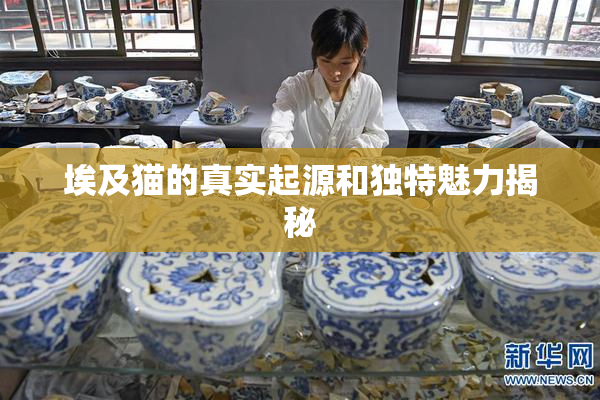 埃及猫的真实起源和独特魅力揭秘