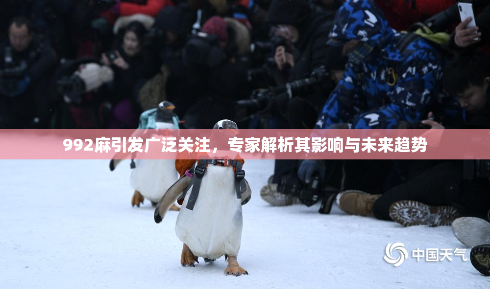 992麻引发广泛关注，专家解析其影响与未来趋势