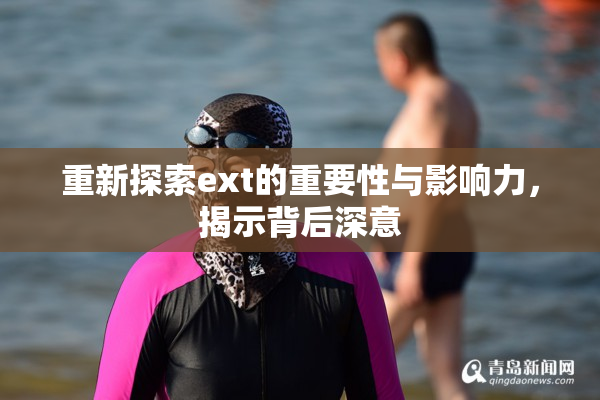 重新探索ext的重要性与影响力，揭示背后深意